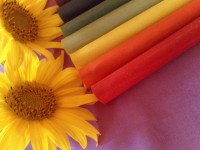 /album/cakrove-svice/img-20130806-182307-jpg1/